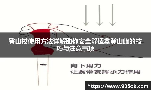 登山杖使用方法详解助你安全舒适攀登山峰的技巧与注意事项